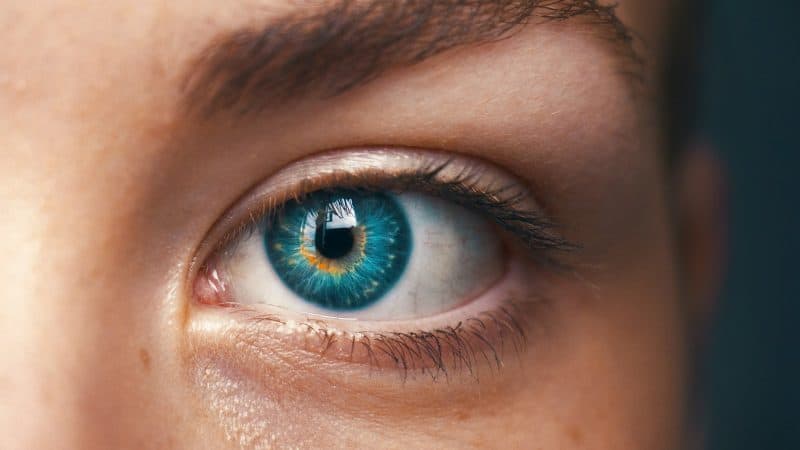 Augenzentrum Eckert in München: Ihr Spezialist für Augenheilkunde